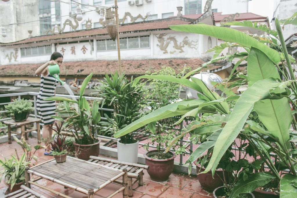 Willa Ham Long Hidden Gem Hanoi Zewnętrze zdjęcie